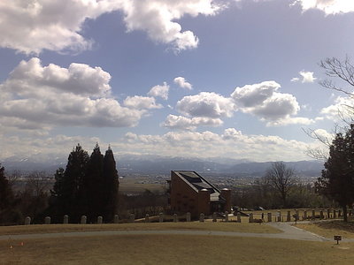 20090315566