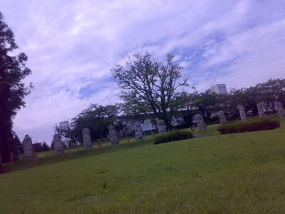 20080923838