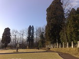 d5212f38.jpg