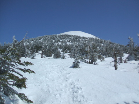 2022_04030020