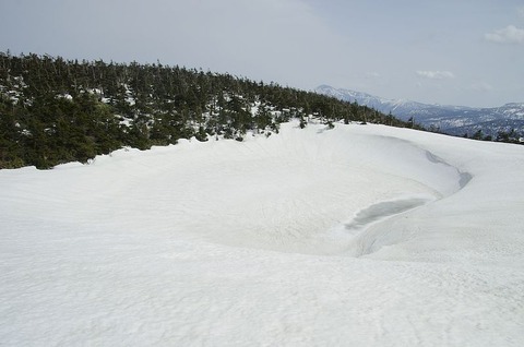 341327290_251416700662074_3520103748219509206_n