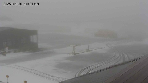 chusha20250430102120