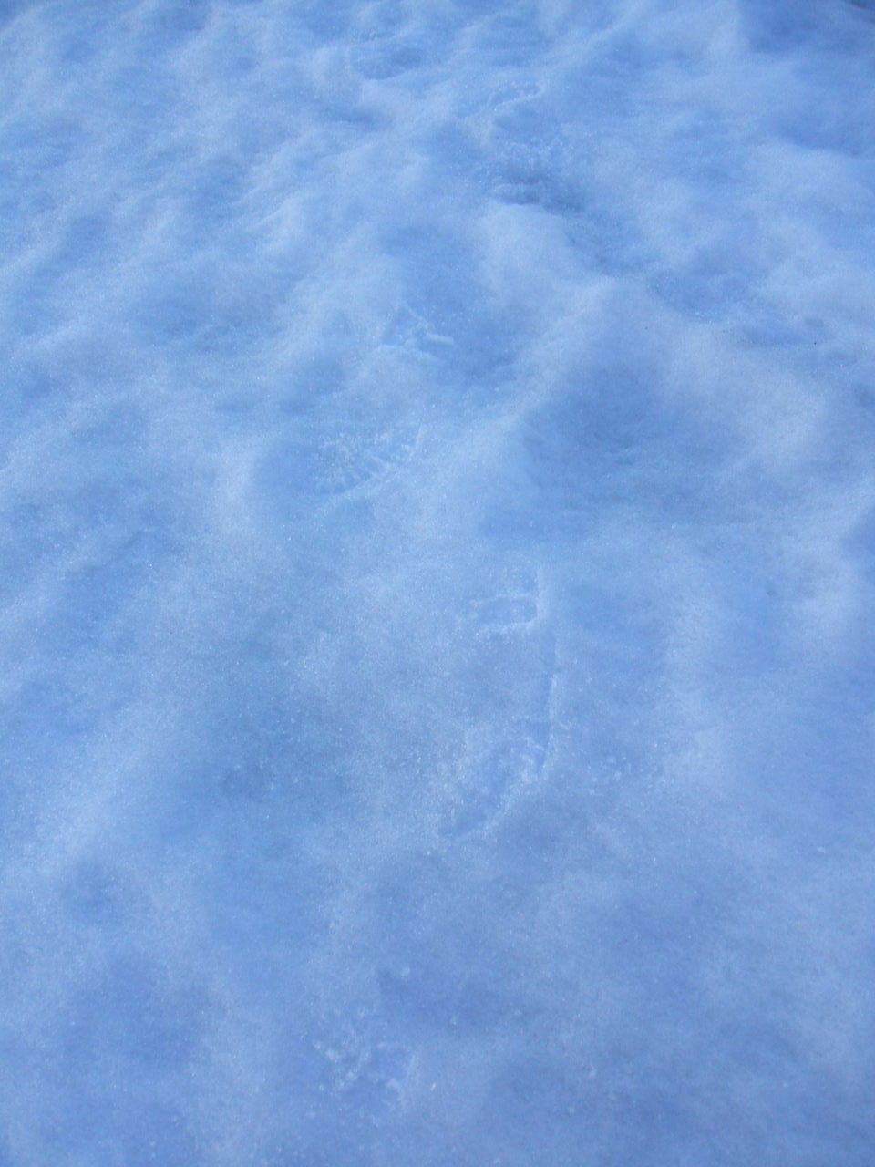 イメージ 14
