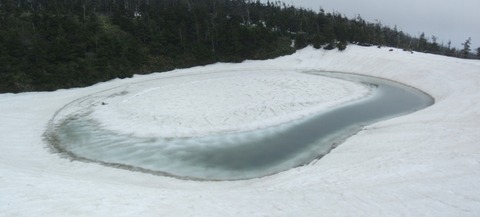 2023_05170004 パノラマ写真