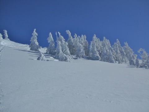 2019_12290011