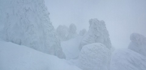 2023_01120029 パノラマ写真