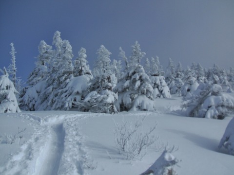2019_12290001