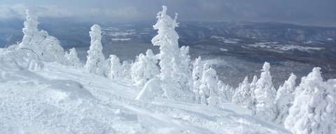 2020_02120010 パノラマ写真