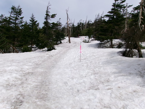 100_1428