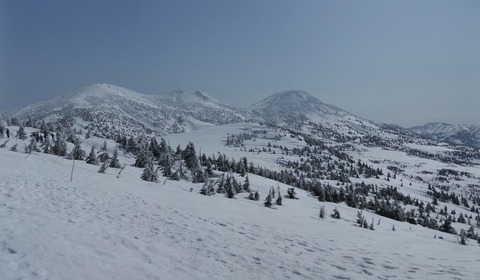 2023_03110002 パノラマ写真