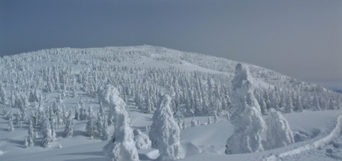 2021_01150003 パノラマ写真