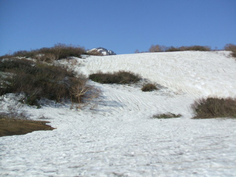 2020_05240009