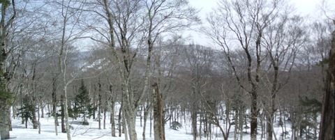 2023_03250015 パノラマ写真