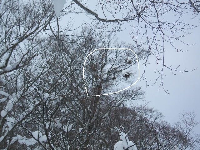 イメージ 13
