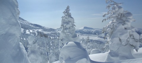 2021_02010011 パノラマ写真