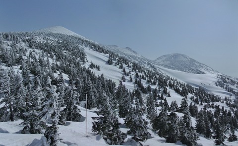 2023_03110005 パノラマ写真