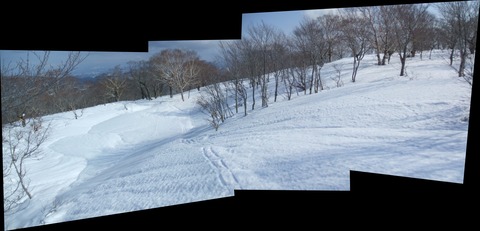 2020_02150012 パノラマ写真