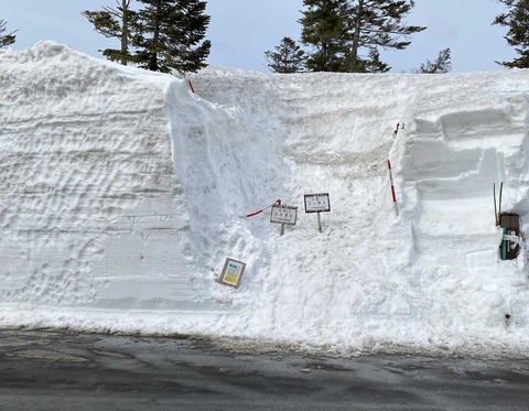 b473d08d-9df7-4b1a-965f-f789888b8d93