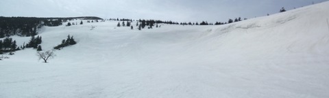 2023_04140008 パノラマ写真