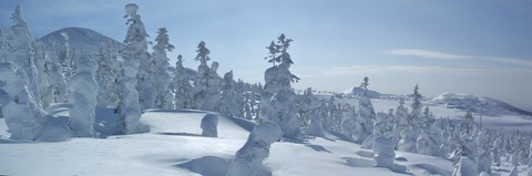 2021_02010017 パノラマ写真