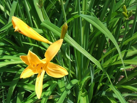 2020_05260006