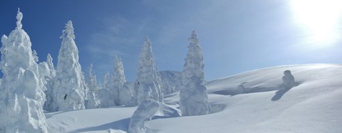 2021_02010021 パノラマ写真