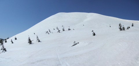 2023_04030016 パノラマ写真