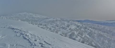 2021_01150037 パノラマ写真