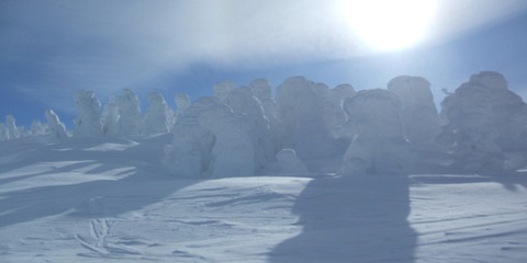 2024_02060017 パノラマ写真