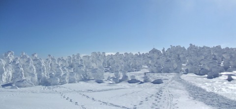 2021_01230067 パノラマ写真