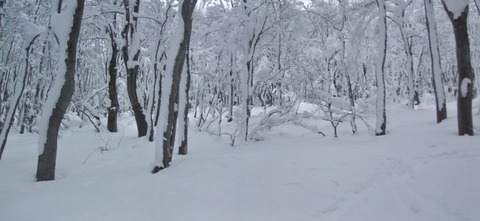 2022_12120001 パノラマ写真