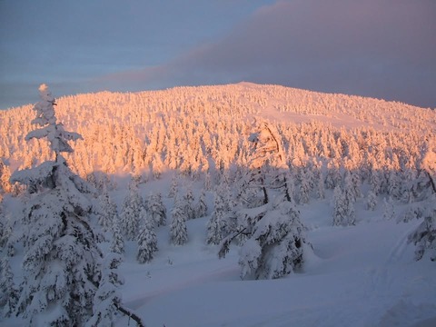 470157601_3968679100081703_415536600842692166_n