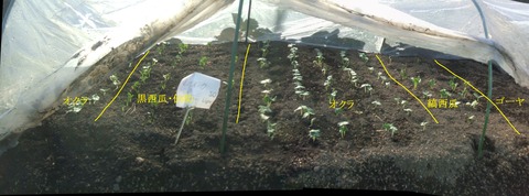 2022_06080003 パノラマ写真