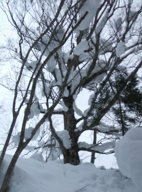 2022_02150015 パノラマ写真