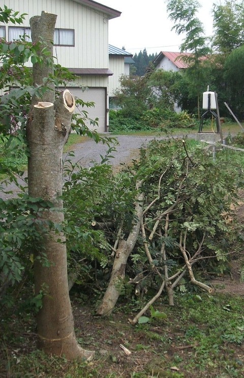 2019_10030003