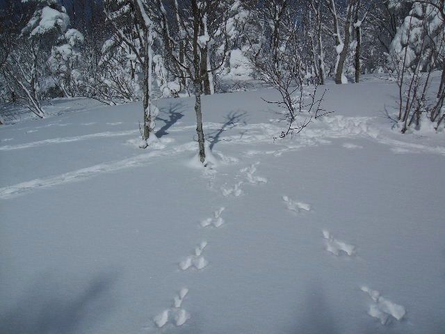 イメージ 34
