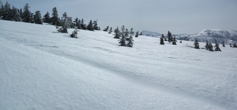 2023_03110029 パノラマ写真