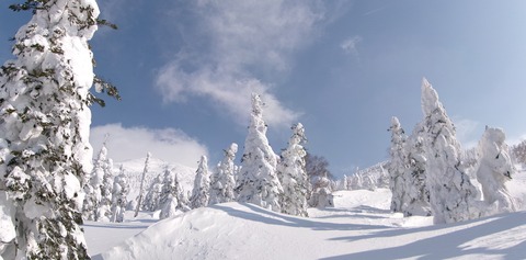 100_0821 パノラマ写真