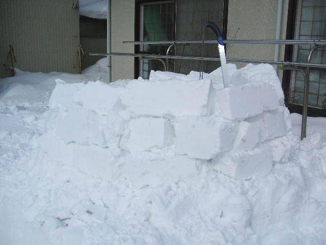 イメージ 9