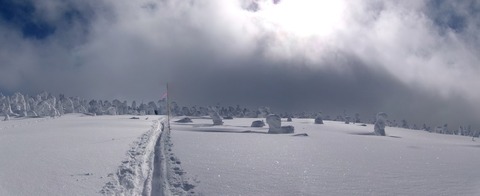 100_0724 パノラマ写真