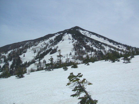 2022_04240035