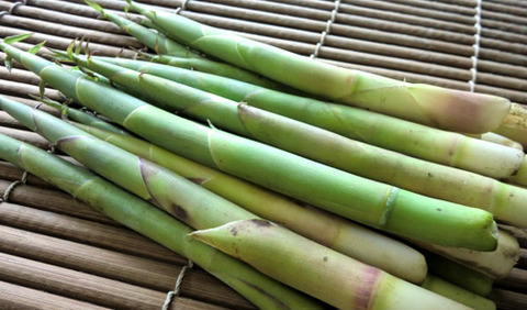 371cc6392efd92db0b506ce8092b569e