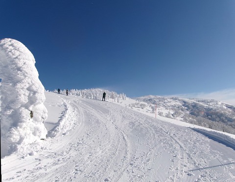 100_0606 パノラマ写真