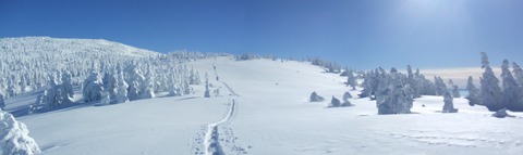 2024_01110011 パノラマ写真