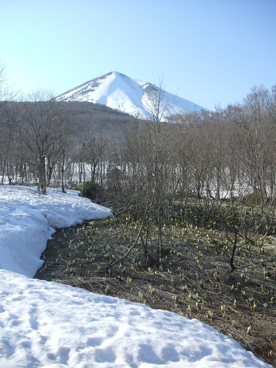 イメージ 19