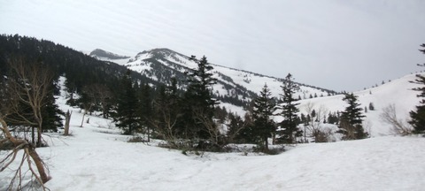 2023_04140015 パノラマ写真