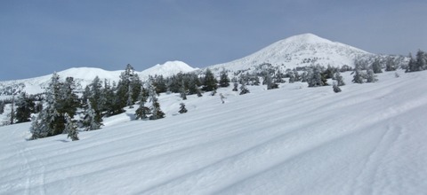 2023_03110027 パノラマ写真