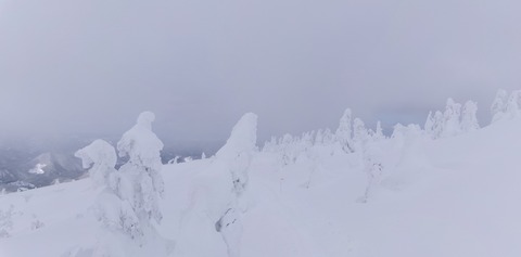 100_0592 パノラマ写真