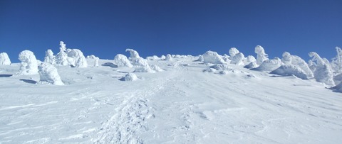 2023_01190008 パノラマ写真