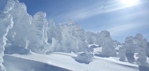 2024_02060010 パノラマ写真